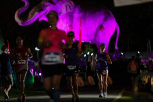 BIB: 
                            <button type="button" onclick="openModal(26530648)" class="btn btn-primary btn-sm float-right btn-popup" data-toggle="modal" data-target=".modal-high-quality">
                        <i class="fas fa-shopping-cart"></i> Add to Cart
                    </button>
                                            <button type="button" onclick="isThisMe(26530648, true)" class="btn btn-success btn-sm float-right btn-popup btn-isme hidden" data-toggle="tooltip" data-placement="bottom" title="นี่คือรูปของคุณใช่ไหม คลิกที่นี่เพื่อเอาเข้าอัลบั้ม">
                        <i class="fas fa-plus"></i> Add to album
                    </button>
                    <button type="button" onclick="isThisMe(26530648, false)" class="btn btn-warning btn-sm float-right btn-popup btn-isnotme hidden">
                        <i class="fas fa-ban"></i> Remove from album
                    </button>